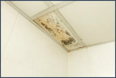 Boca Raton Restoration Expert Boca Raton, FL 561-283-4685 Boca Raton Restoration Expert Boca Raton, FL 561-283-4685 - content-water-leak