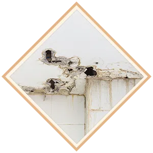 Boca Raton Restoration Expert Boca Raton, FL 561-283-4685 - sb-ser-01-water-leak