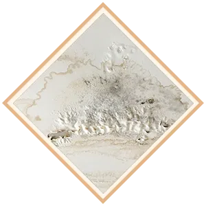 Boca Raton Restoration Expert Boca Raton, FL 561-283-4685 - sb-ser-04-water-damage